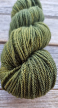 Load image into Gallery viewer, Merino 8 ply/DK: Moss