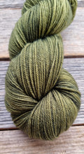 Load image into Gallery viewer, Hand-Dyed Sock Yarn: Moss