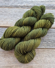 Load image into Gallery viewer, Merino 8 ply/DK: Moss
