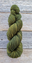 Load image into Gallery viewer, Merino 8 ply/DK: Moss