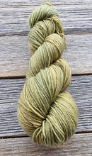 Load image into Gallery viewer, Hand-Dyed Sock Yarn: Spinifex