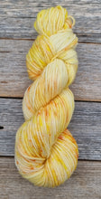 Load image into Gallery viewer, Merino 8 Ply/DK: Wattle