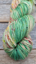 Load image into Gallery viewer, Merino 8 Ply/DK: Wildflower Meadow