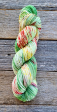 Load image into Gallery viewer, Hand-Dyed Sock Yarn: Wildflower Meadow