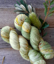 Load image into Gallery viewer, Hand-Dyed Sock Yarn: Banksia