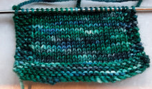 Load image into Gallery viewer, Hand-Dyed Sock Yarn: Rainforest