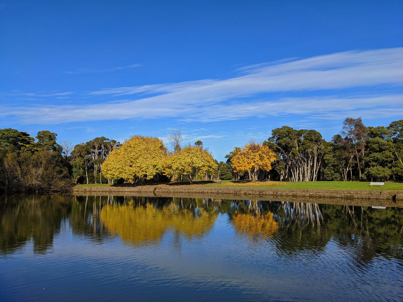 Winter News and some advance notice