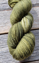 Load image into Gallery viewer, Hand-Dyed Sock Yarn: Oak
