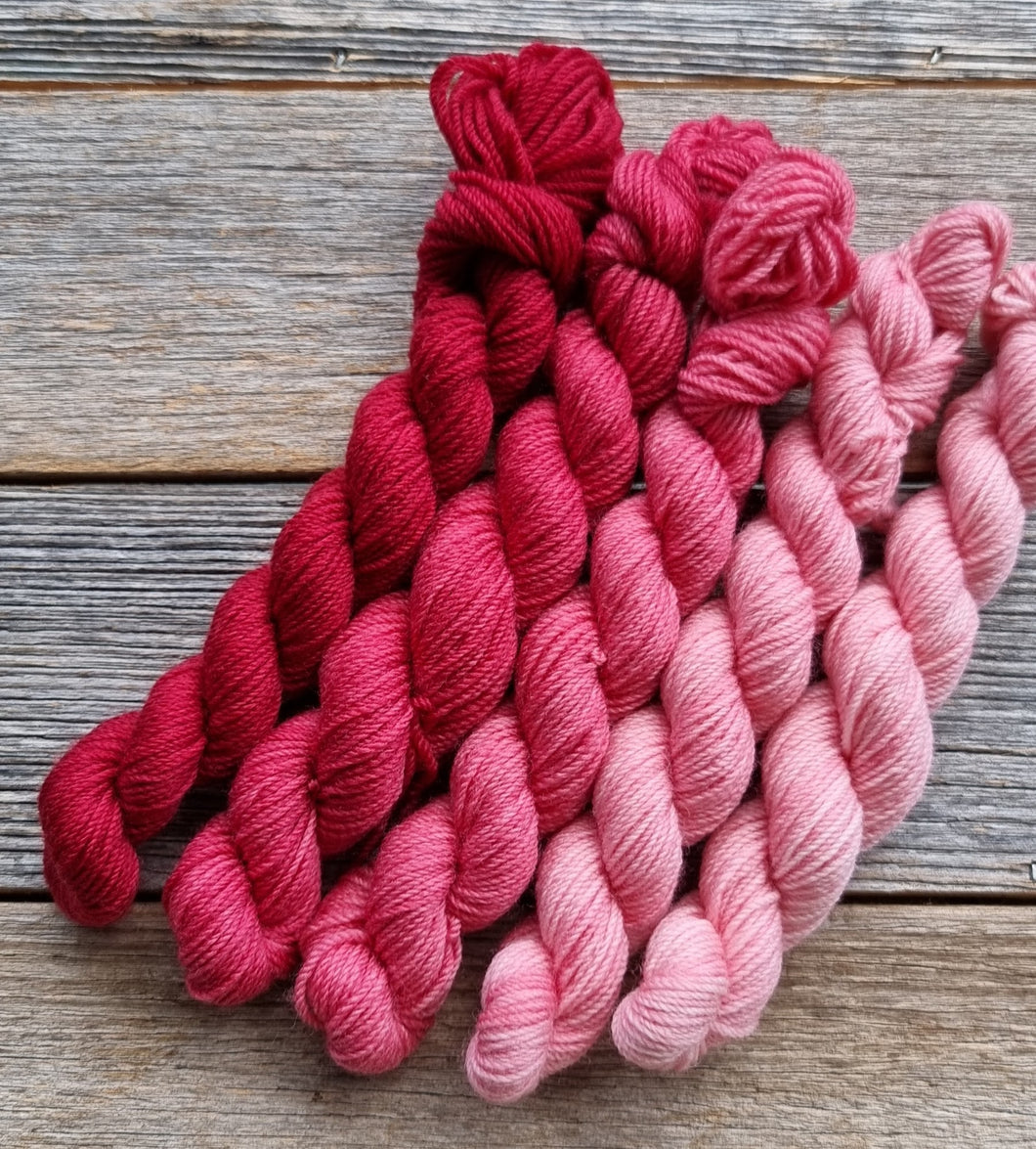 Mini Skein Set:  Pink