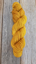 Load image into Gallery viewer, Merino 8 Ply/DK: Autumn Glow
