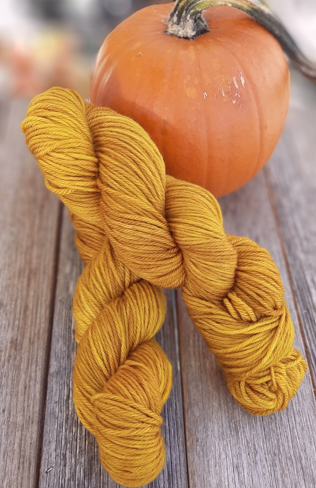 Merino 8 Ply/DK: Autumn Glow